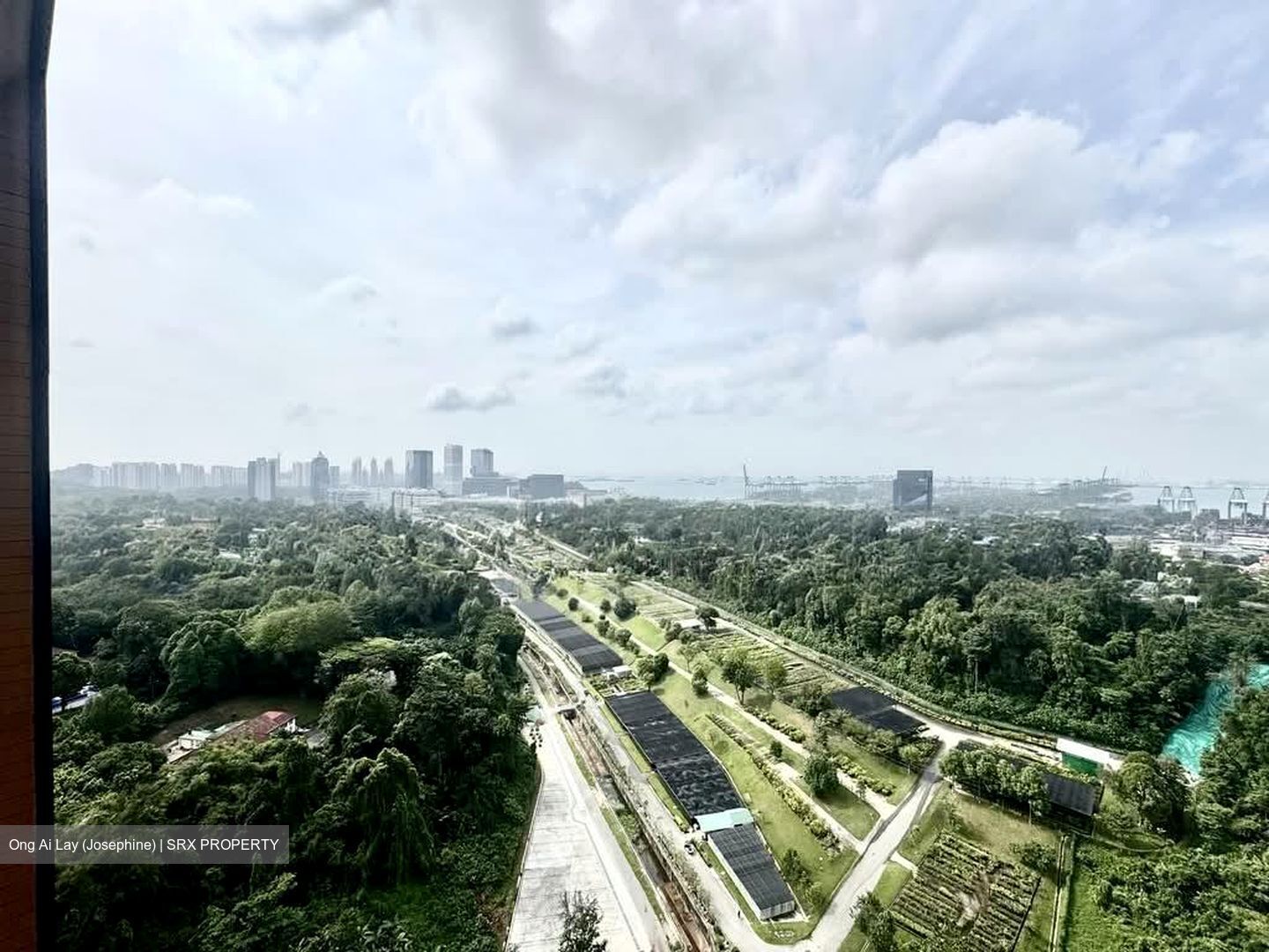 Normanton Park (D5), Apartment #562102001